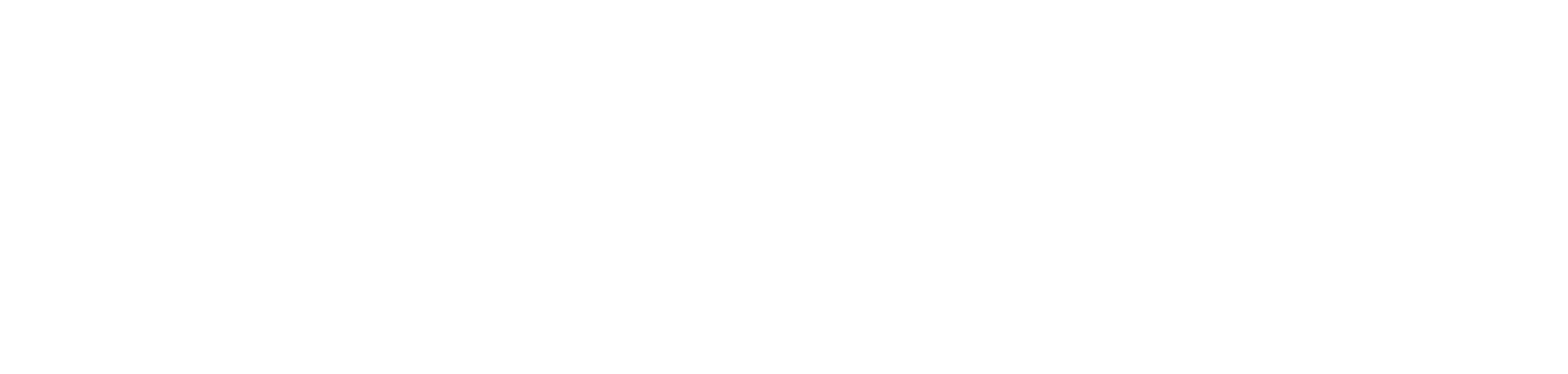 Flow Visuals Logo